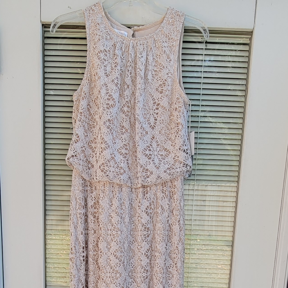 London Times Oatmeal Colored Lace Over Sleeveless Maxi Dress 6. - Picture 4 of 15